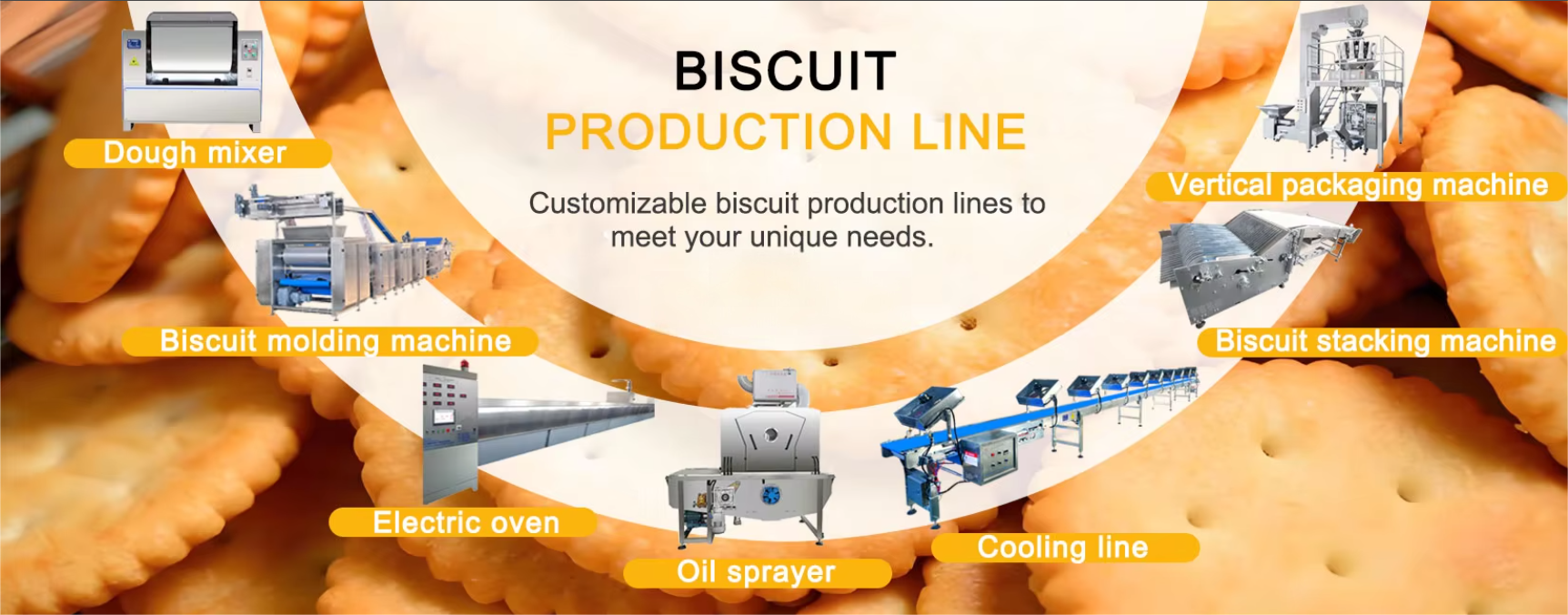 biscuit production process
