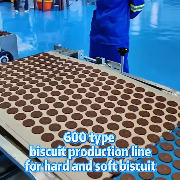 600 type hard and soft biscuit production line installation in africa